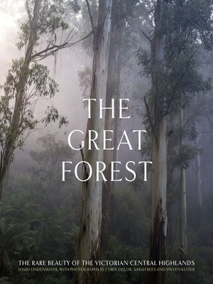 cover image of The Great Forest
